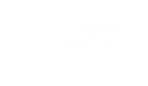 Wildwood Farm - Motus Creative Group Client