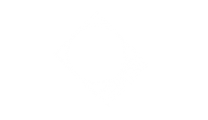 Fighters Gym Nashville - Motus Creative Group Client